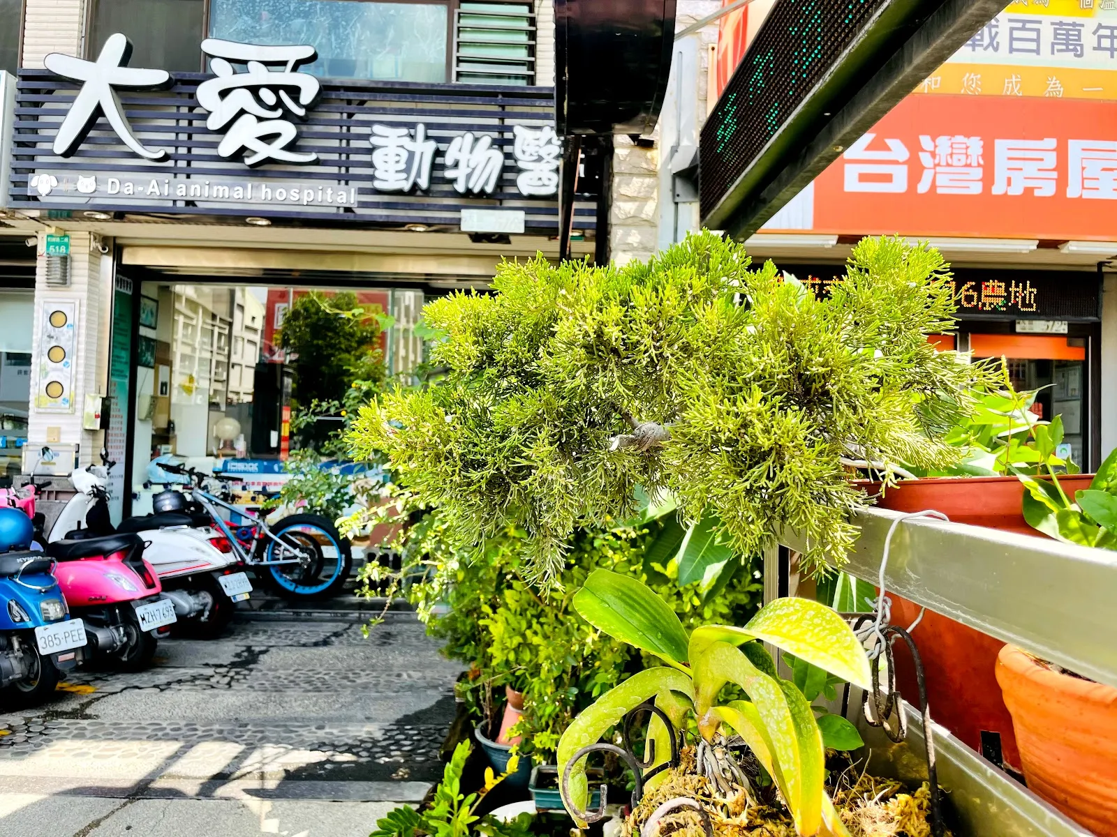 大愛動物醫院
