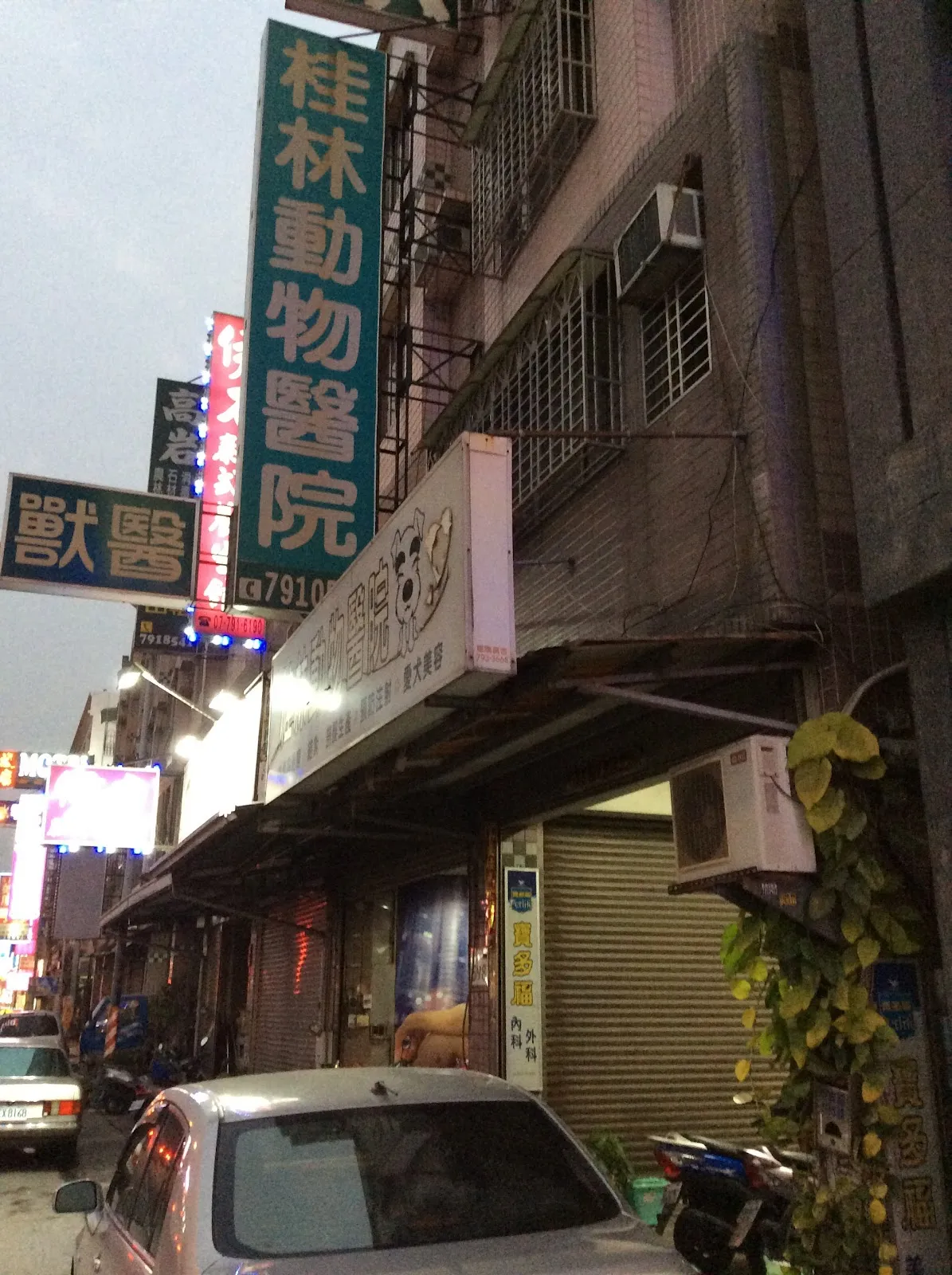 桂林動物醫院